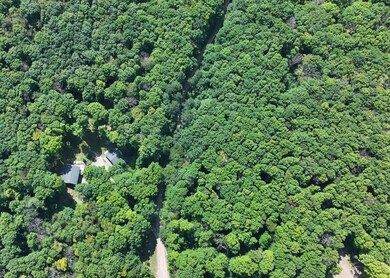 DJI_20240728085826_0381_D