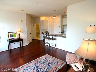 54 Regatta Bay Ct unit 321, Annapolis, MD 21401 - photo 5