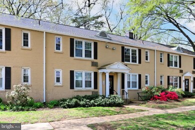 228 N Thomas St unit 2284, Arlington, VA 22203 - photo 3