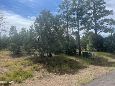 Lot 54.  3