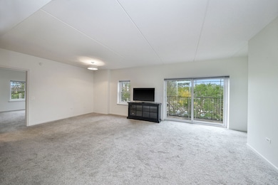 586 Crescent Blvd unit 305, Glen Ellyn, IL 60137 - photo 5