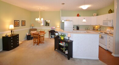 Kitchen/Dining