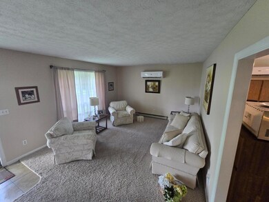 106 Ash St, Summersville, WV 26651 - photo 6