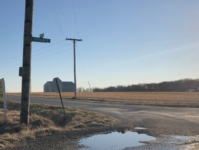 3175 E Brunswick Rd, Beecher, IL 60401 - photo 4