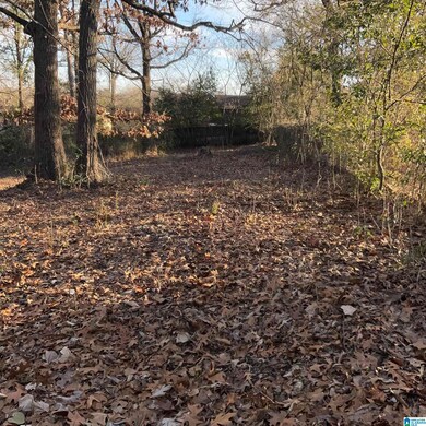 1017 Grand Oaks Cir unit 14, Fairfield, AL 35064 - photo 5