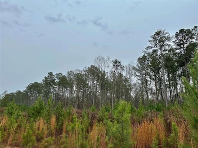 0 County Road 59 unit 7689585, Heflin, AL 36264 - photo 3