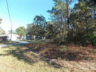 9432 N Cherry Lake Dr, Citrus Springs, FL 34433 - photo 4