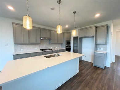 3606 Beebalm Blvd, Melissa, TX 75454 - photo 4