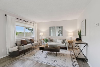 14067 81st Ave N, Osseo, MN 55311 - photo 2