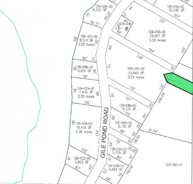 47 Gile Pond Rd, Franklin, NH 03235 - photo 4