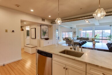 255 Northampton St unit 503, Boston, MA 02118 - photo 5