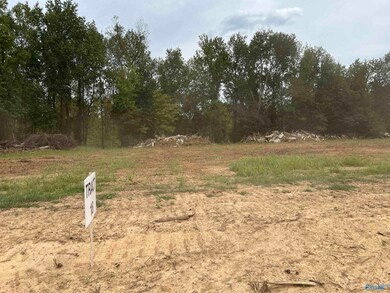 21302 Holland Rd, Athens, AL 35614 - photo 3