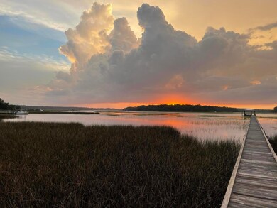 4404 Wando Farms Rd, Mount Pleasant, SC 29429 - photo 3