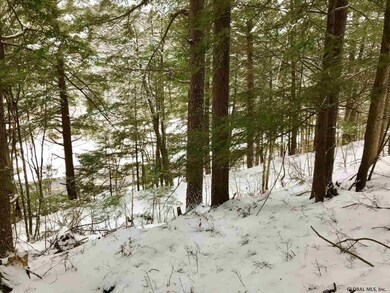 8 Potter Brook Rd, Warrensburg, NY 12885 - photo 6