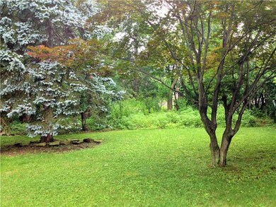 Yard/Garden.