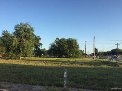 0000 N Cesar Chavez Rd, Alamo, TX 78516 - photo 4