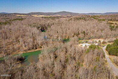 4.42 ac Hidden River Ln, Sparta, TN 38583 - photo 3
