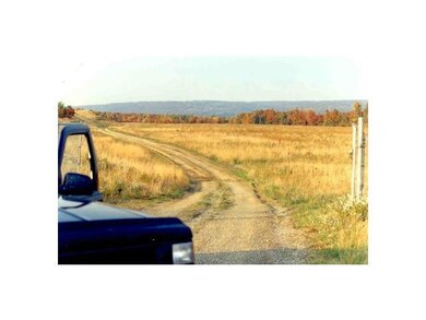 Land