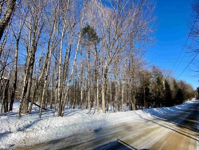 37 Danbury Woods Rd, Danbury, NH 03230 - photo 3