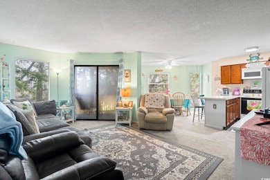 Living area with light carpet, a wealth of natural