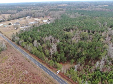 tbd Highway 746, Loris, SC 29569 - photo 6