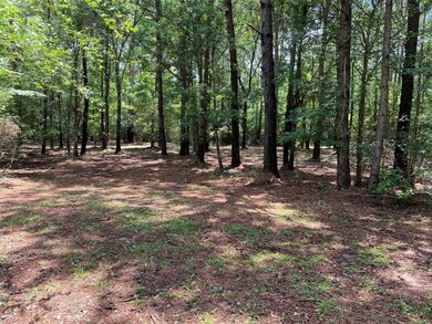 10356 Daw Collins Rd, Cleveland, TX 77328 - photo 4