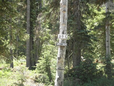 1045 W Big Horn Cir unit ZVME E-201, Duck Creek Village, UT 84762 - photo 4