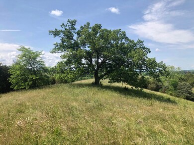 Photo Jun 01, 11 30 21 AM