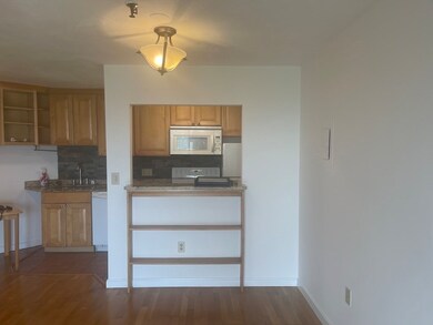 Sagamore Place Condominiums unit 1004, Quincy, MA 02171 - photo 4