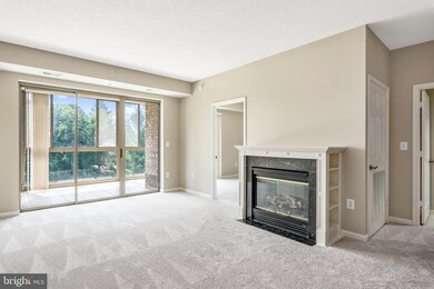 19355 Cypress Ridge Terrace unit 522, Leesburg, VA 20176 - photo 6