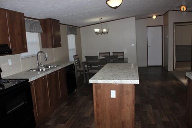 4208 Willow St, Carlsbad, NM 88220 - photo 4