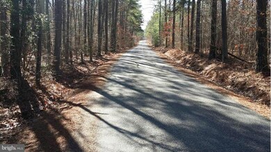 25191 Oxford Rd, Ruther Glen, VA 22546 - photo 2