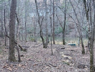 0000 Mallard Rd unit 357, Lake Lure, NC 28746 - photo 2