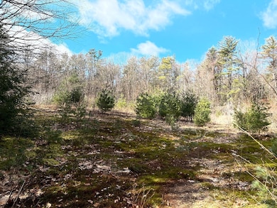 0 March Rd (Buckland Town Line), Ashfield, MA 01330 - photo 3