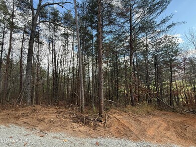 Lot 3 Parksville Rd, Benton, TN 37307 - photo 6