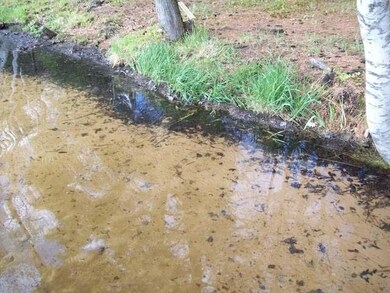 1222 Brandy Lake Rd, Woodruff, WI 54568 - photo 4