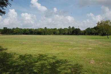 33 Wilderness Trail, Friendswood, TX 77546 - photo 3