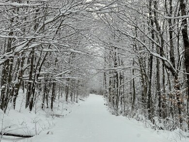 MS0081 Rd, Concord Township, ME 04920 - photo 2