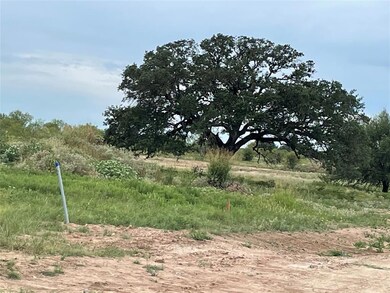 101 Tobiano Trace, Brock, TX 76087 - photo 2