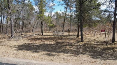 262, 264, 266 15th Ave, Nekoosa, WI 54457 - photo 6