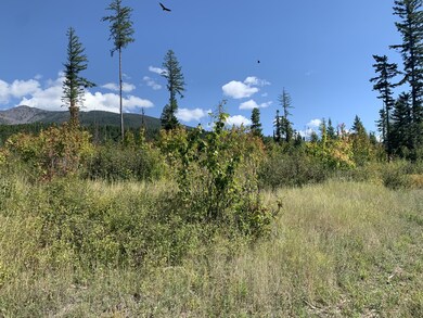 Nhh Cougar Flats Rd, Bigfork, MT 59911 - photo 5