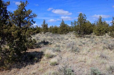 0 Tl 1501 Bluebird Dr unit 24787646, Prineville, OR 97754 - photo 4