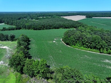 TBD N Carolina 71, Red Springs, NC 28377 - photo 2