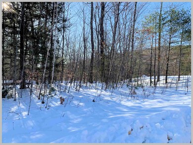 Lot #23 Ski Lift Ln, Plymouth, NH 03264 - photo 7
