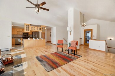 4155 Cedar Mountain Rd, Divide, CO 80814 - photo 5