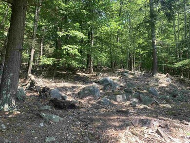 88 Cow Island, Tuftonboro, NH 03816 - photo 3