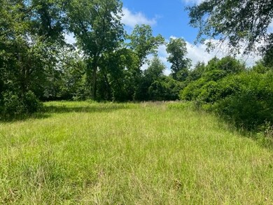 1311 Dorough Ave, Putney, GA 31705 - photo 3