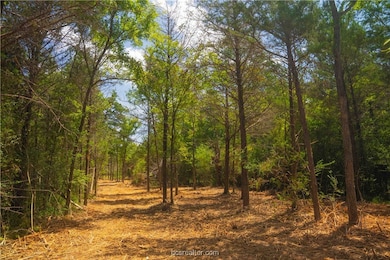 12524 Red Hill Rd, Hearne, TX 77859 - photo 6