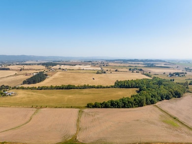 9470 Parker Rd - MLS -14