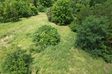 6698 Mount Subasio Ct, Cold Spring, KY 41076 - photo 7